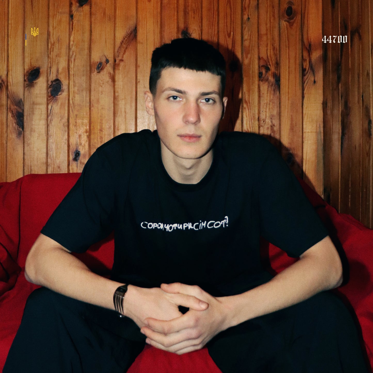 Футболка Cорокчотирисімсот?